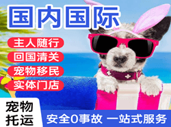 三源浦空运代理国际宠物托运 【国